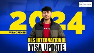 BLS visa update 2024 | Checklist | Karachi Consulate | explained