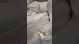 девиз дня 