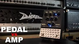 Diezel Herbert Preamp Pedal vs. Diezel Herbert mk. II - This pedal is nuts!