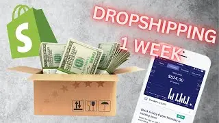 Beginner Tries Shopify Dropshipping For 1 Week