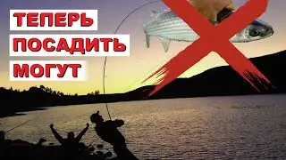 РЫБАЛКА за которую МОЖНО ПРИСЕСТЬ! Раскрываю место #рыбалка