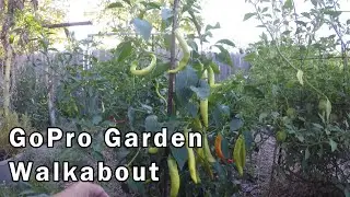 September GoPro Garden Walking Tour - In No Particular Order