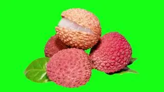 Green Screen Lychee Fruit Animation | Lychee Green Screen |Green Screen Video Background Full Screen