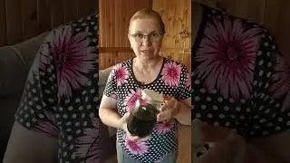 Отличное средство для суставов из сирени.