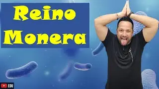 Reino Monera - Características Gerais e Divisão - Sistema dos 5 Reinos - Microbiologia