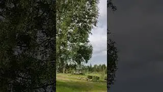 Берёзонька шумит🌳🎇ТРОИЦКАЯ ЦЕРКОВЬ в ТРОИЦА-ЧИЖАХ⛪Чудное место под Павловским Посадом💖26.05.2024