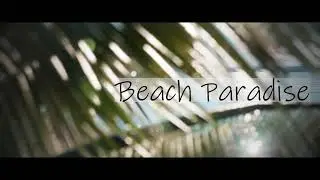 Beach Paradise Unreal Engine 5