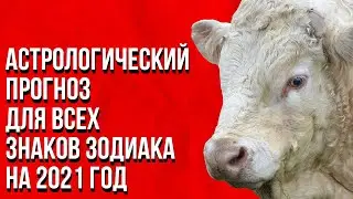 Астрологический прогноз для всех знаков зодиака на 2021 год