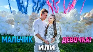 У нас будет…Гендерпати РЕАКЦИЯ на пол РЕБЕНКА😍