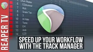 REAPER: Speed up your Workflow with the Track Manager - Tutorial