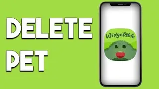 How To Delete Pet In Widgetable 2023