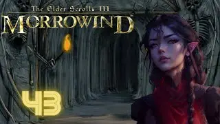 Stupid Sexy Vampires! Let's Play The Elder Scrolls III: Morrowind #43