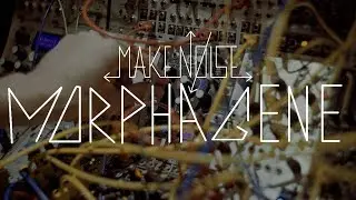 Make Noise Morphagene Demo