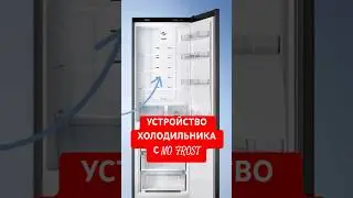 УСТРОЙСТВО ХОЛОДИЛЬНИКА С NO FROST