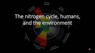 Nitrogen Topic 6 - The nitrogen cycle and the environment