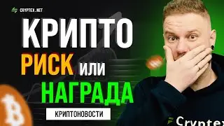 Актуальные курсы Bitcoin, Ethereum, Dogecoin и последние новости крипто-мира