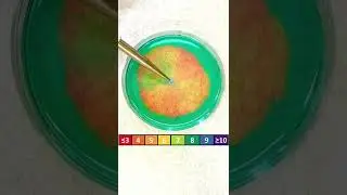 The Chemistry of Lightning ⚡️🧪#shorts #chemistry #chemicalreaction #lightning