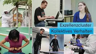 Das Exzellenzcluster Kollektives Verhalten