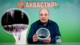 Использование отвара ольховых шишек при подготовке воды для нереста. Аквариумистика.