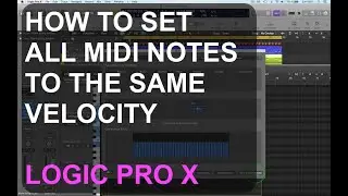 Fixed Midi Note Velocity in LOGIC PRO X