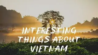 Interesting things about Vietnam - Vietnam. interesting facts about Vietnam