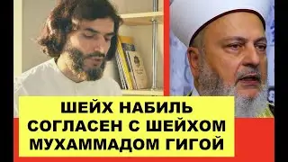 Про фразу куффаров "сын Бога". Д-р Набиль и Шейх Мухаммад Гига