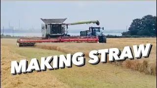 STRAW SHIFT DIGGER SHIFT AnswerAsAPercent 1615