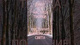 ДУША ЭТО ЧАСТЬ ТВОРЦА#shorts Ирина Белова