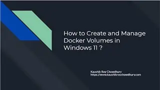 How to Create and Manage Docker Volumes in Windows 11 ?