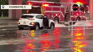 Tropical Storm Debby causing flooding and downed trees in Clearwater.