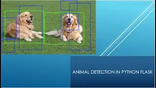 Animal detection in python| Python flask animal detection using machine learning |ML projects python