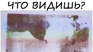 Тест на ШИЗОФРЕНИЮ! Уникальная экспресс-диагностика! Проверь себя!