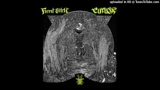 Curuja - Forest Witch