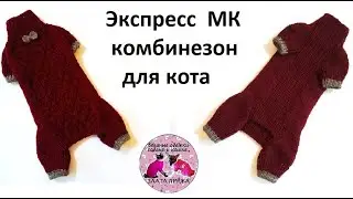 Экспресс МК Комбинезон для кота