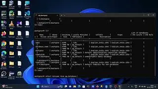 Show databases in postgres | Show databases in PostgreSQL