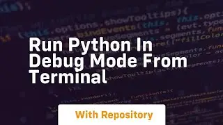 run python in debug mode from terminal