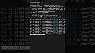 How to check the docker running status in ubuntu?