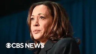 Assessing Kamala Harris role on immigration in Biden administration