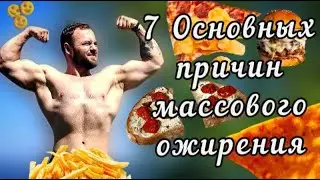 Главные Причины Массового Ожирения