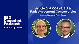 Article 6 at COP28: EU & Paris Agreement Controversies ft. Peter Zaman & Anna Stablum