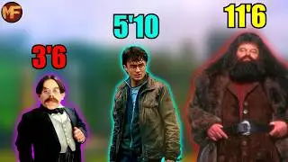 Every Harry Potter Characters Height Ranked From Tallest to Shortest (In the Books)