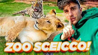 TOUR SCIOCCANTE DI UNO ZOO PRIVATO NELLA CASA DI UNO SCEICCO!