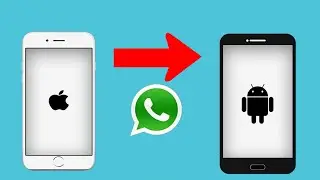 How to Transfer WhatsApp from Android to iPhone