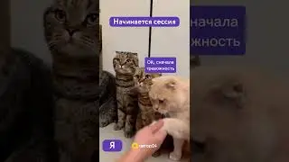 POV: сессия началась. Ставь 💜 и подписывайся 