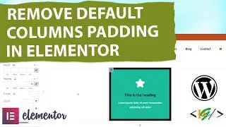 How to Remove Default Column Padding in Elementor WordPress | Default 10px Padding
