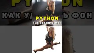Как удалить фон изображения с помощью Python 
