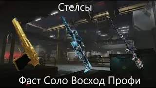 Warface Восход Профи Все Стелсы Фастом с 3-мя оружиями