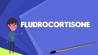 What is Fludrocortisone? Explain Fludrocortisone, Define Fludrocortisone, Meaning of Fludrocortisone