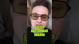 Бустер настоящий каблук? #бустер #дилара #blogger #shortsvideo