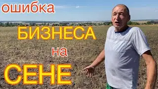 Как не ПОПАСТЬ на ДЕНЬГИ | ошибки БИЗНЕСА на СЕНЕ